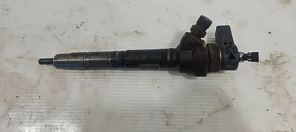 Volkswagen PASSAT B6 Fuel injector 0445110369