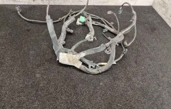Tesla Model S Other wiring loom 200443005A
