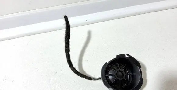 Front door speaker
