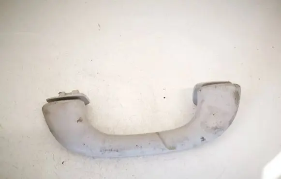 Front interior roof grab handle