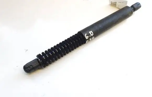 BMW 5 GT F07 Tailgate/trunk strut/damper 7210557 13121204725N