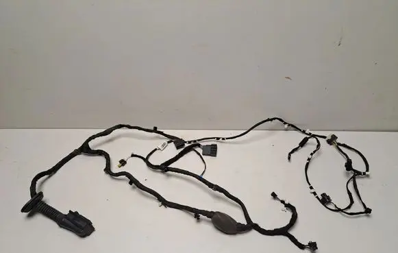 BMW X7 G07 Front door wiring loom 5A5B6B2