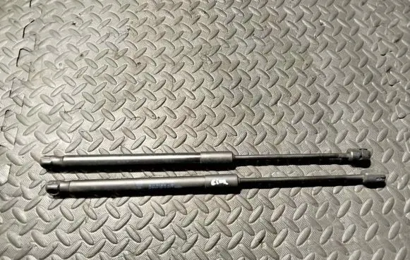 Front bonnet/hood damper/strut