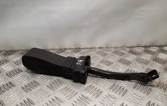 Audi A5 Sportback 8TA Front door check strap stopper 8T8837267A