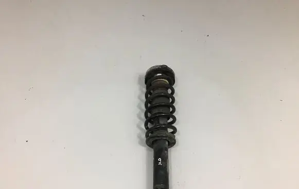 BMW X3 F25 Rear shock absorber/damper 6796317