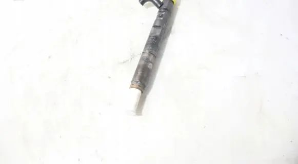 Renault Megane II Fuel injector