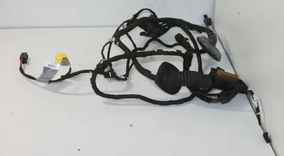 Audi Q5 SQ5 Front door wiring loom 8R0971030BL