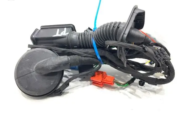 Rear door wiring loom
