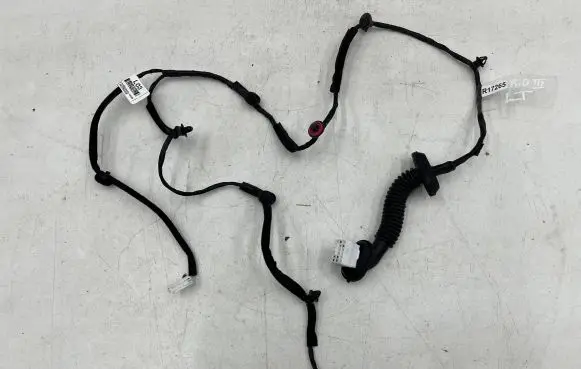 Rear door wiring loom
