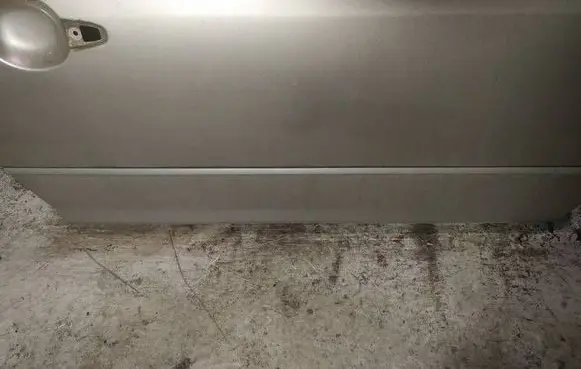 Mazda 3 I Front door trim (molding) 