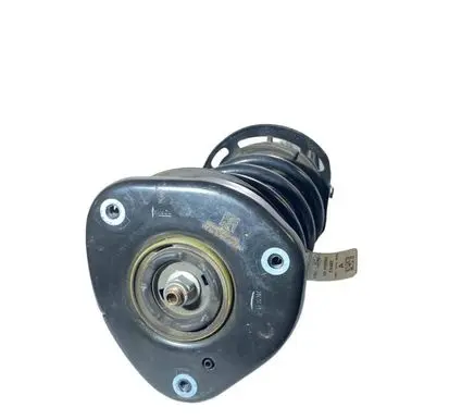 Ford Escape IV Front shock absorber with coil spring LX6118045NAF LX615310NAC