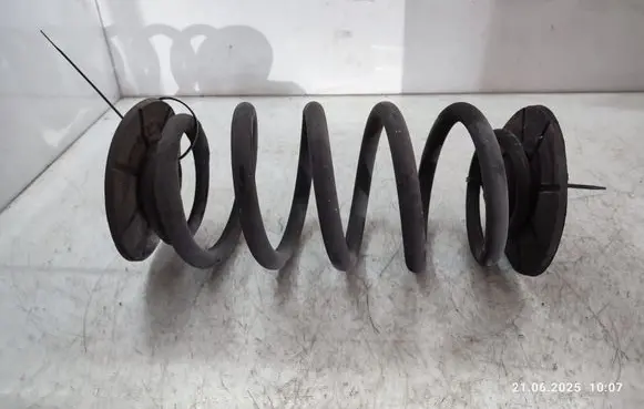 Rear coil spring