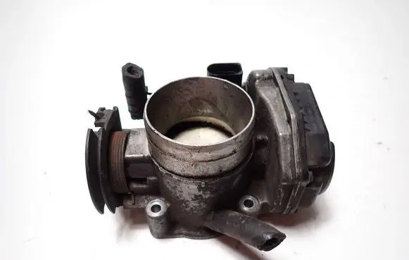 Throttle body valve