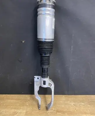 Land Rover Range Rover Sport L494 Front air suspension shock absorber 3822014933 DPLA-3C285-CJ