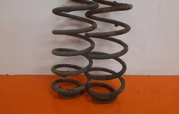 Volkswagen PASSAT B6 Rear coil spring