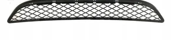 BMW X6 E71 Front bumper lower grill 51117176282