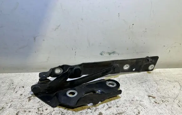 Tailgate/trunk/boot hinge