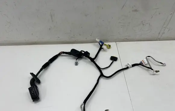 Hyundai IONIQ 6 Front door wiring loom 91601KL810