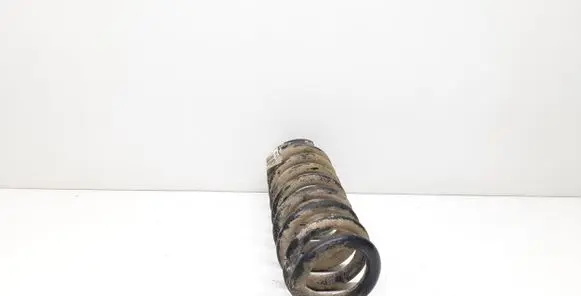 Chrysler 300 - 300C Rear coil spring 04895314AB