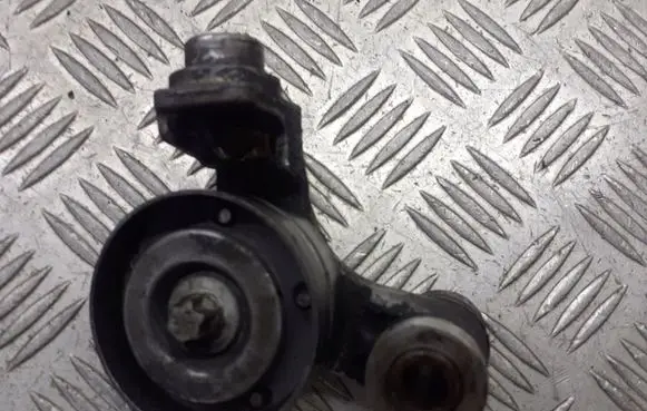 Opel Corsa D Alternator belt tensioner pulley 55352021AW