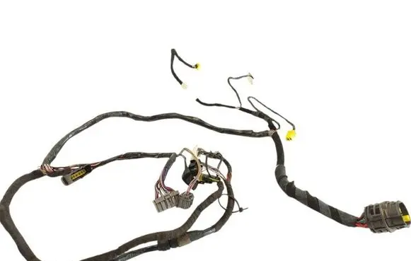 Front door wiring loom