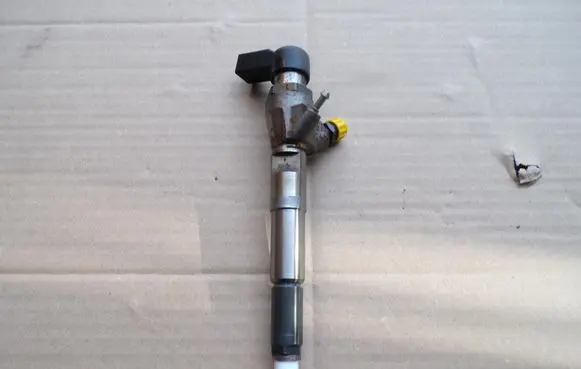 Renault Scenic IV - Grand scenic IV Fuel injector H8200704191