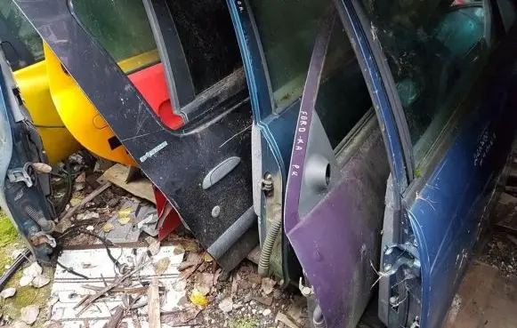 Ford Ka Front door violetines