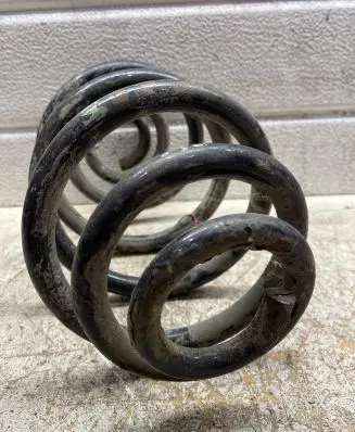 Volkswagen PASSAT B5 Rear coil spring