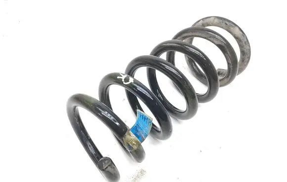 Ford Mustang VI Rear coil spring Q48PA