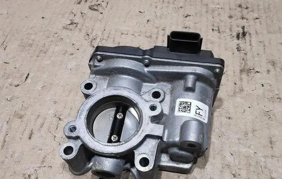 Dacia Dokker Throttle body valve 161206038R