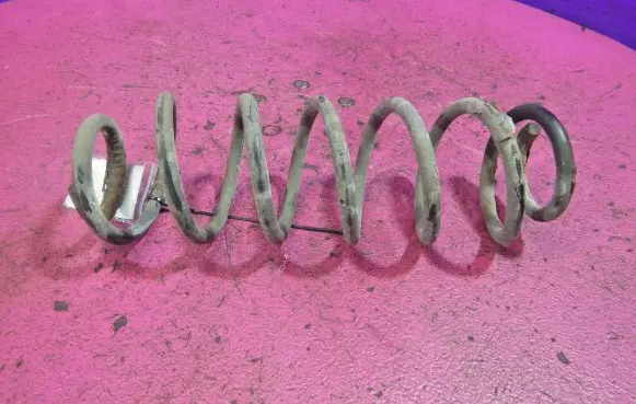 Seat Toledo II (1M) Rear coil spring