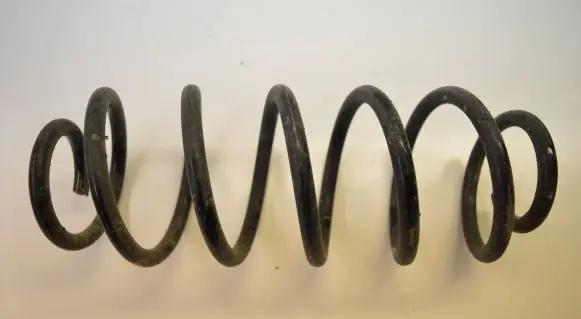 Rear coil spring