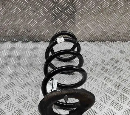 Tesla Model 3 Rear coil spring 104447201E