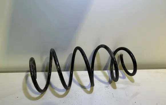 Front coil spring