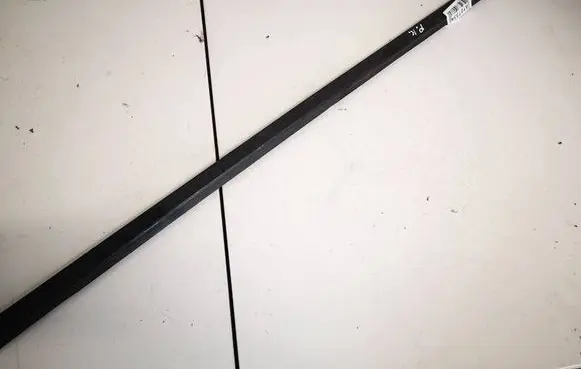 Nissan Murano Z50 Front door glass trim molding 