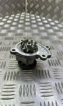 Renault Megane III Water pump 210106094R