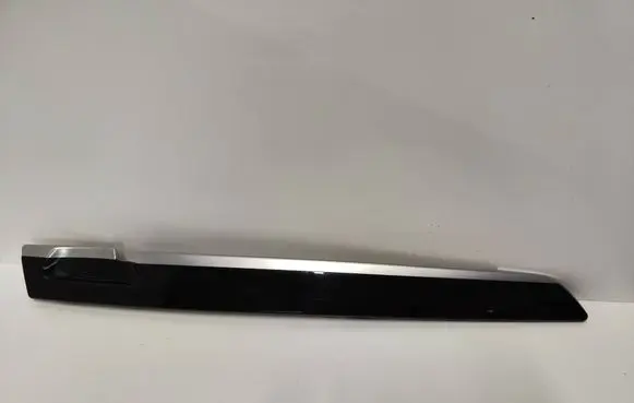 Other rear door trim element