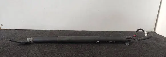 Tailgate strut