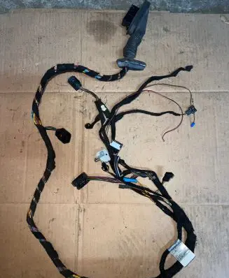 Front door wiring loom
