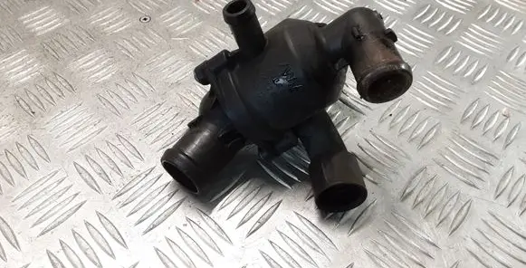 Thermostat/thermostat housing