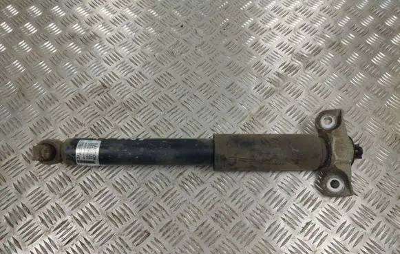 Ford Edge II Rear shock absorber/damper 161101A H3H010N00 179H10N00