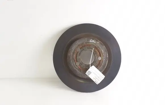 Ford Mustang Mach-E Rear brake disc LJ9C2A315CNB