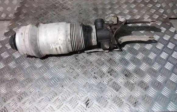 Porsche Cayenne (9PA) Air suspension front shock absorber 7L5412021AK