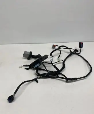 Dodge Charger Rear door wiring loom P68084156AG 16238DC 975UB320