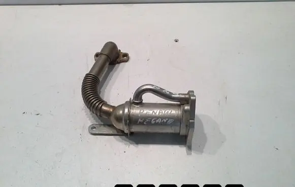 Renault Megane II EGR valve 0502101