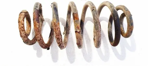 Opel Signum Rear coil spring