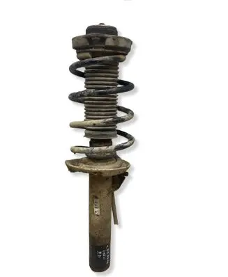 Volkswagen Golf V Front shock absorber/damper 1T0413031CK