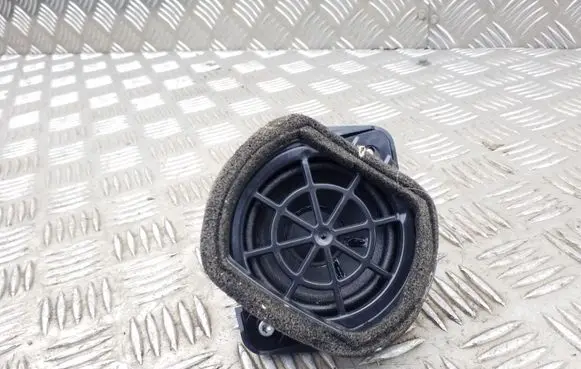 Front door speaker