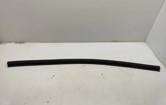 Dodge Challenger Rubber seal front coupe door 4575881AA