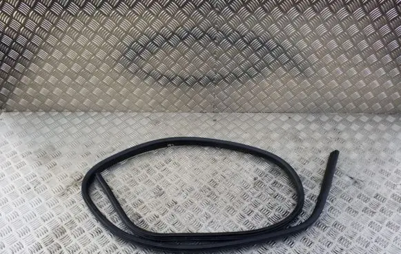 Opel Zafira C Front door rubber seal